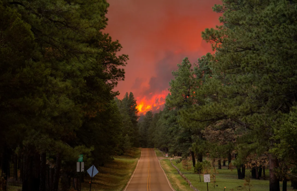 New Mexico Wildfires